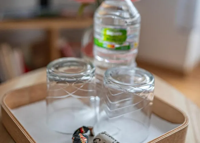 Au Coeur De Pau - Parking Prive - Le Douillet アパート *