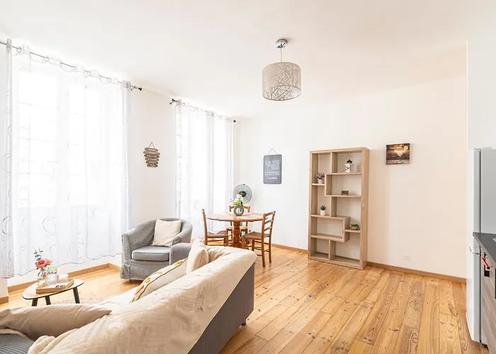 Au Coeur De Pau - Parking Prive - Le Douillet アパート