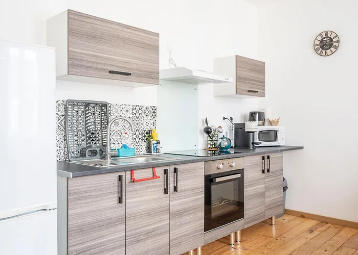 Au Coeur De Pau - Parking Prive - Le Douillet