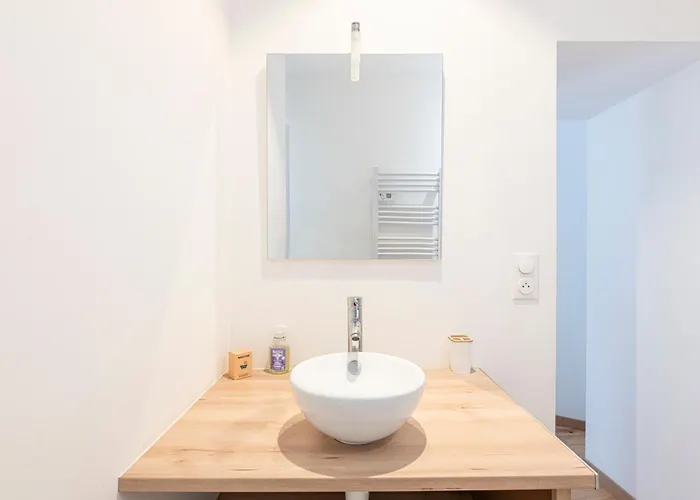 アパート Au Coeur De Pau - Parking Prive - Le Douillet ポー